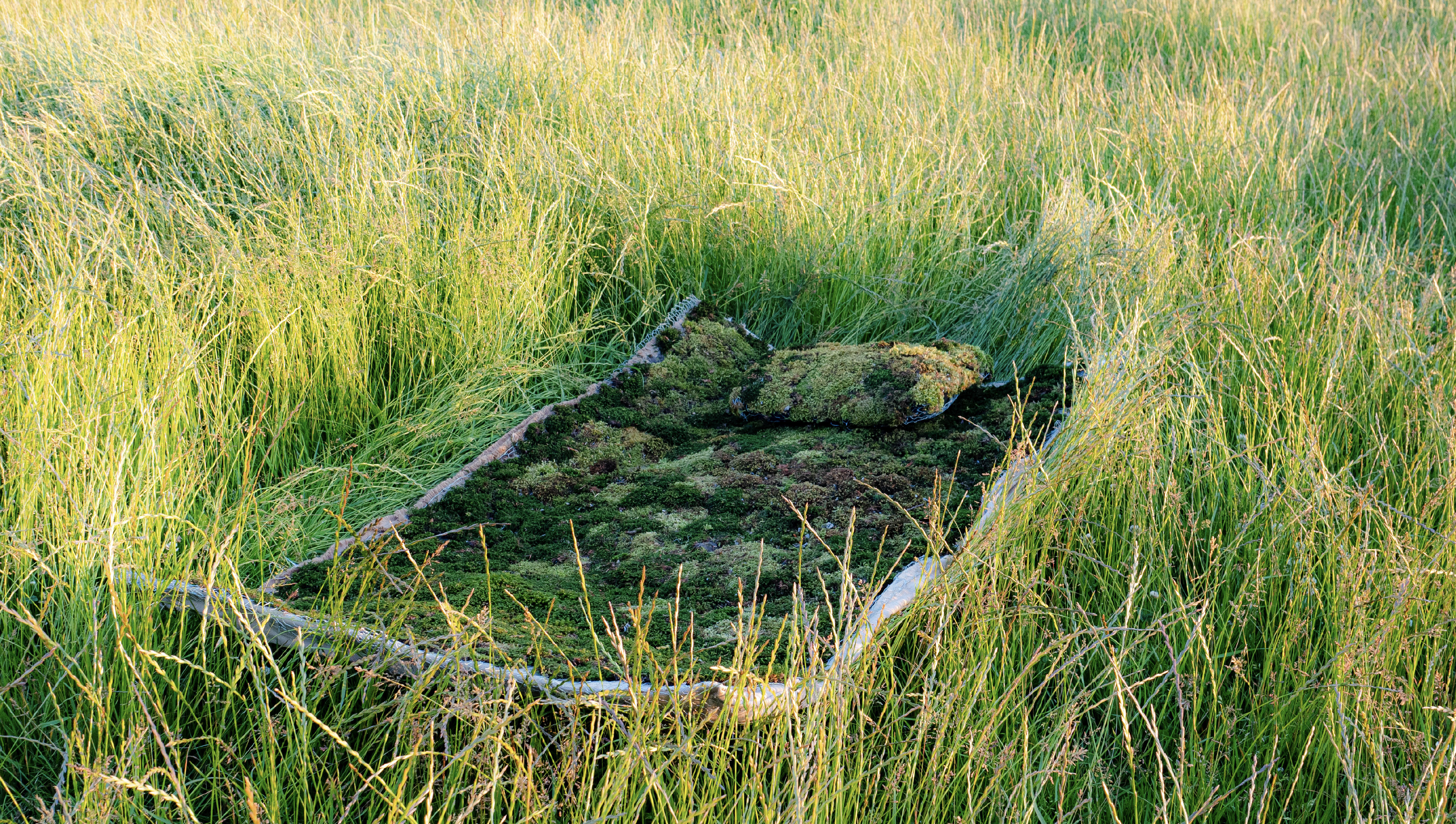 i rest into the grass hero